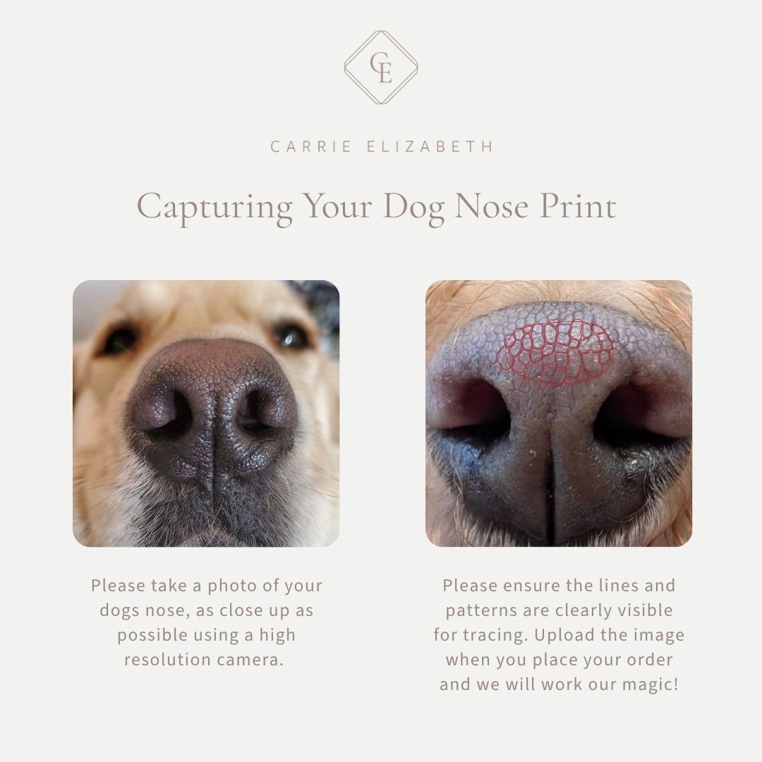 Custom Made Treasured Dog Nose Print Signet Ring