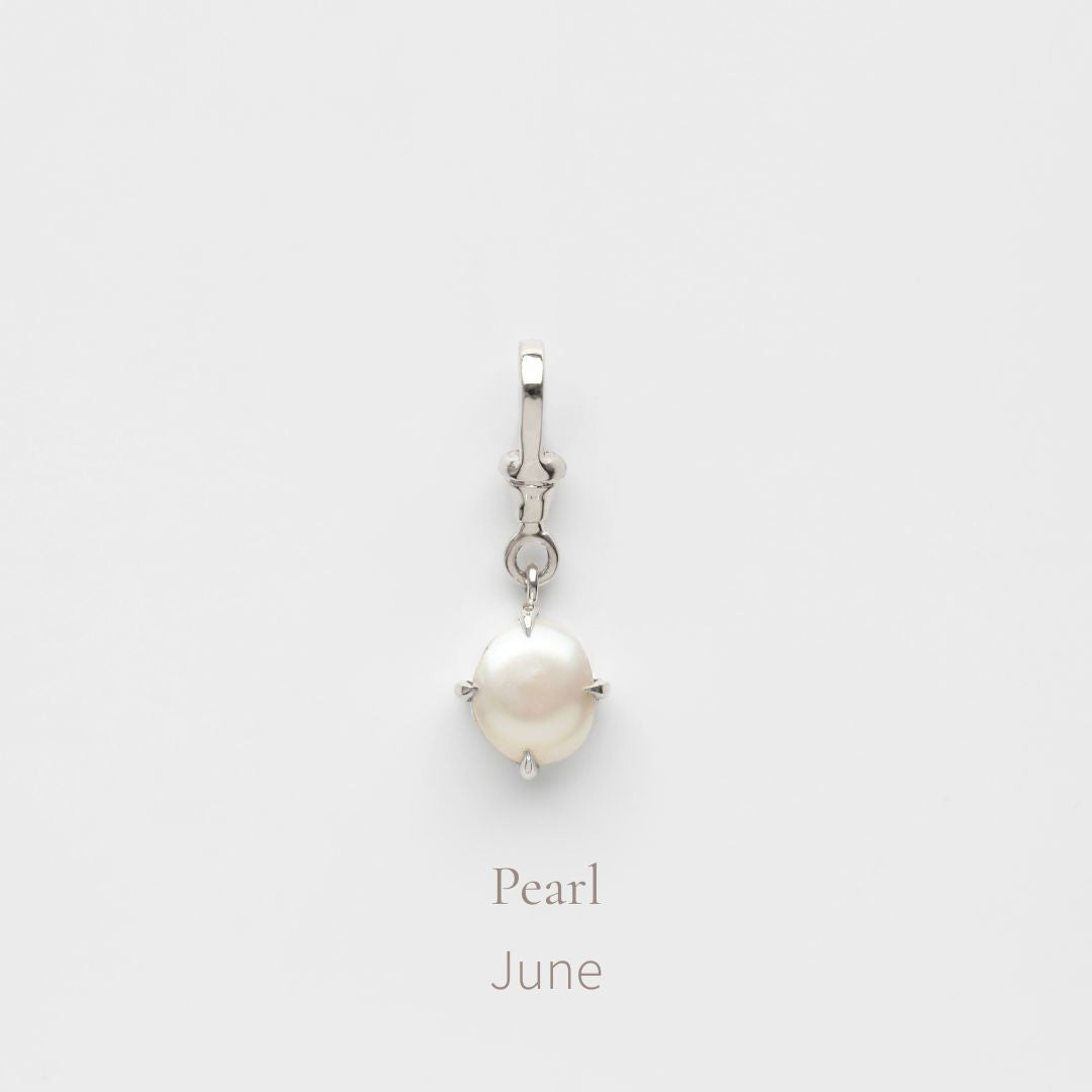 Birthstone Albert Vintage Dog Clip Charm