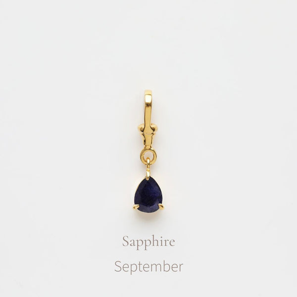Birthstone Albert Vintage Dog Clip Charm