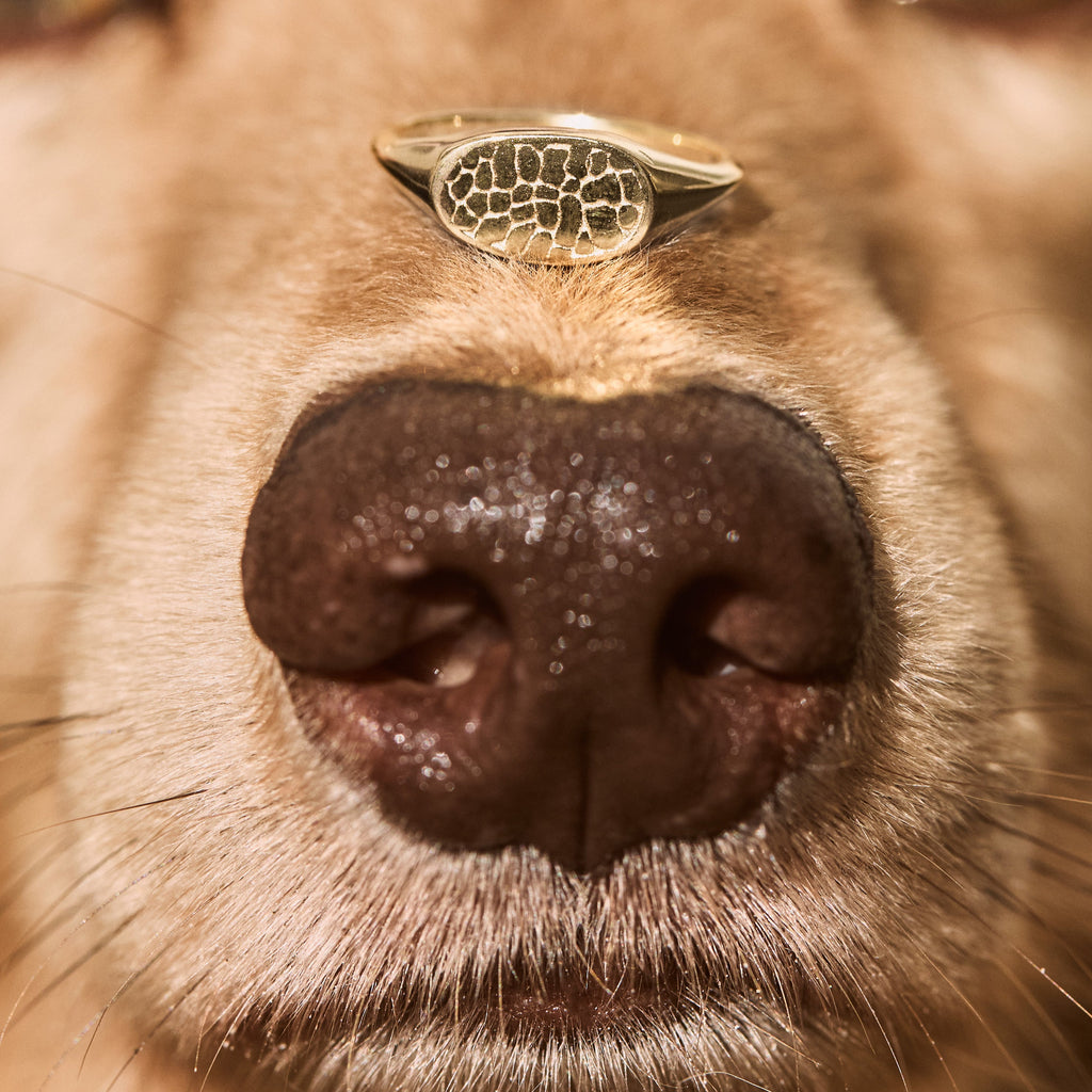 Custom Made Treasured Dog Nose Print Signet Ring