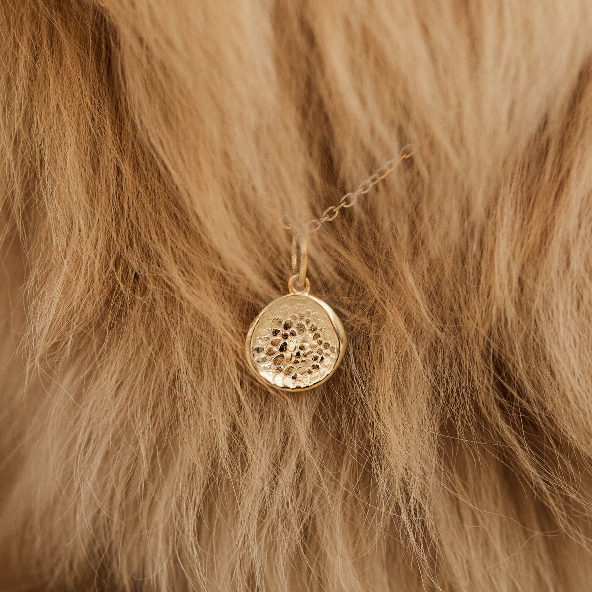 Custom Made Treasured Dog Nose Print Pendant