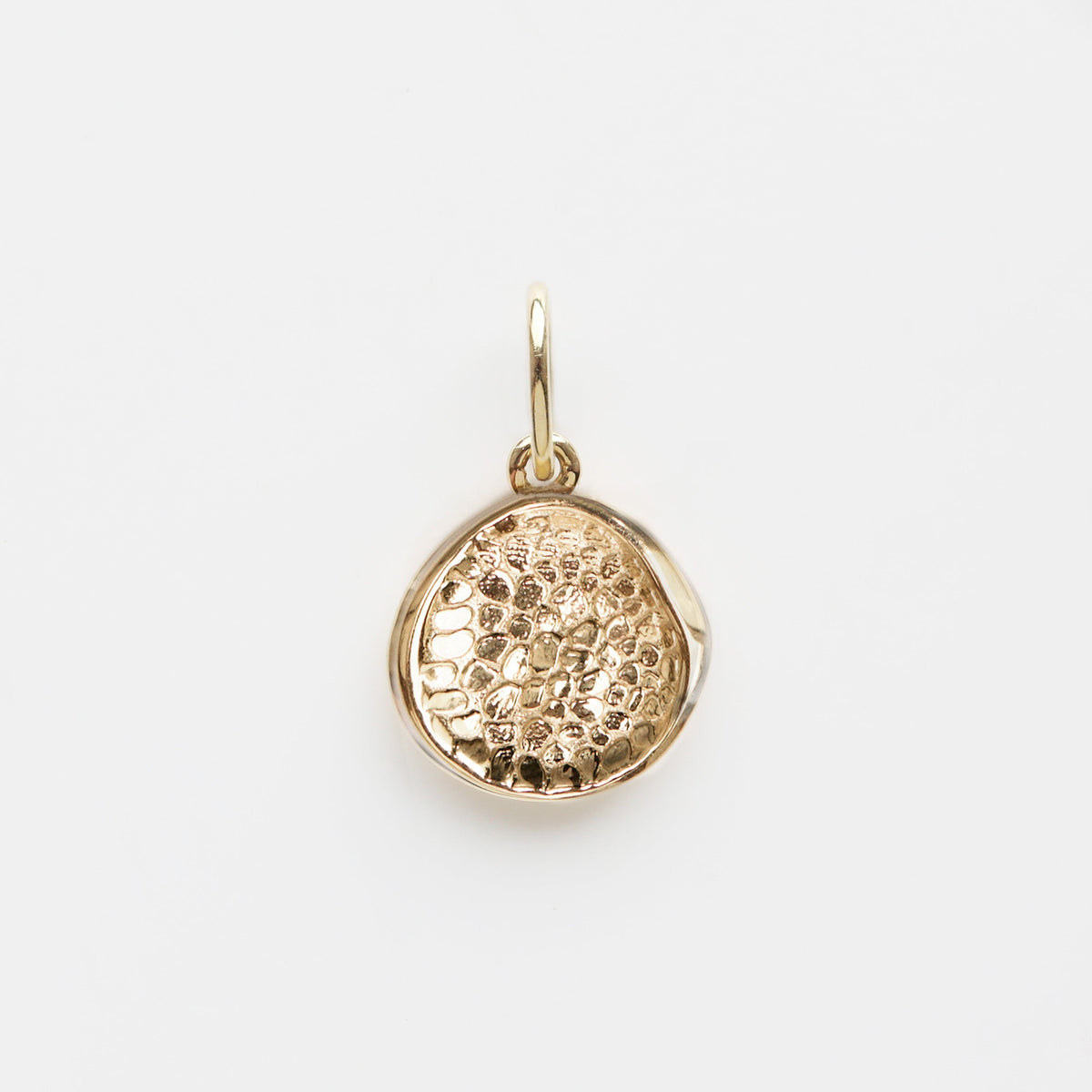 Custom Made Treasured Dog Nose Print Pendant Main image